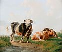 Weite holländische Weidelandschaft mit ruhenden Kühen