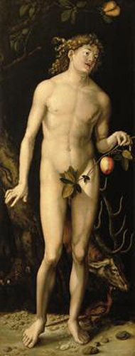 Albrecht Dürer - Adam