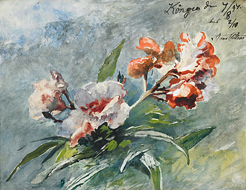 Anna Peters - Blühende Oleanderzweige