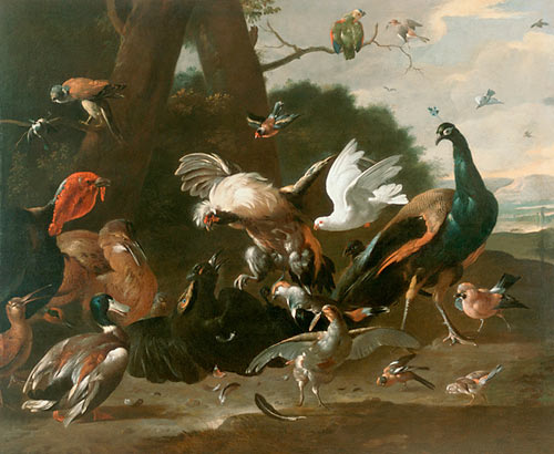 Melchior Hondecoeter - Die Welt der Vögel