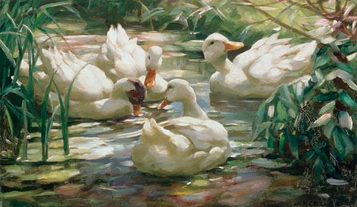 Alexander Koester - Enten auf einem Waldweiher