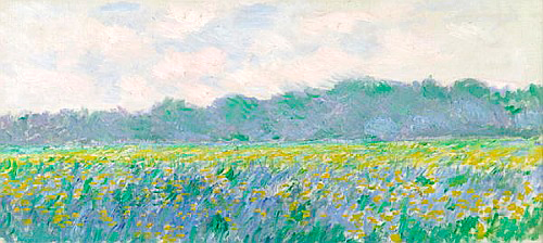 Claude Monet - Feld mit gelber Iris bei Giverny
