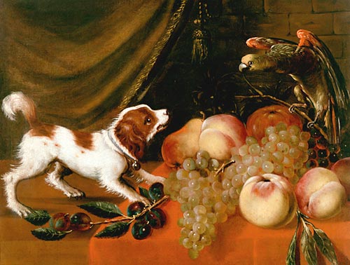 Frans Snyders - Früchtestilleben mit Hündchen und Papagei