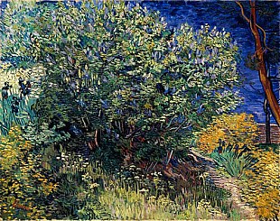 Vincent van Gogh - Flieder