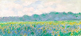 Claude Monet - Feld mit gelber Iris bei Giverny