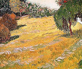 Vincent van Gogh - Feld im Sonnenlicht