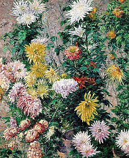 Gustav Caillebotte - Weiße und gelbe Chrysanthemen 