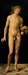 Albrecht Dürer - Adam