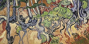 Vincent van Gogh - Baumwurzeln