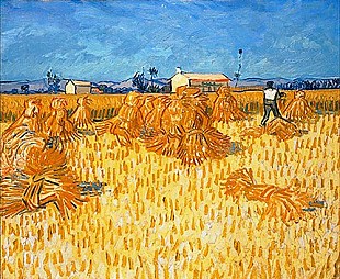 Vincent van Gogh - Ernte in der Provence