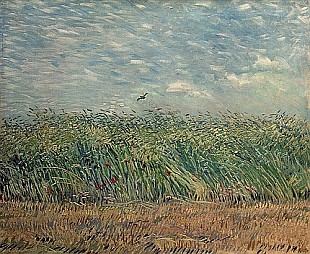 Vincent van Gogh - Weizenfeld mit Lerche 