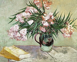 Vincent van Gogh - Oleander und Buch