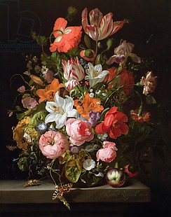 Rachel Ruysch - Stilleben mit Tulpen, Rosen und Lilien