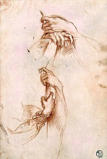 Sandro Botticelli - Zwei Studien der Hände eines jungen Mannes
