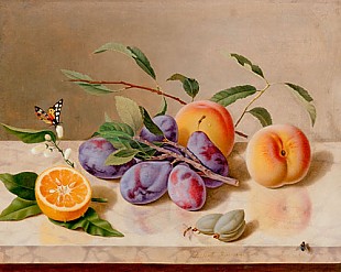 Adolf Carl A. Senff - Früchtestilleben mit Schmetterlingen auf heller Marmorplatte