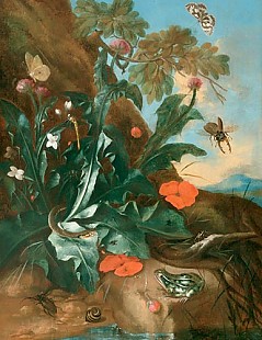 Franz Michael S. von Burgau - Stilleben mit Distel und Insekten