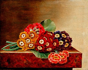 Johan Laurentz Jensen - Blumenstilleben mit Primeln auf einer Marmorplatte