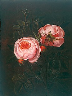 Johan Laurentz Jensen - zugeschr. - Stilleben mit aufblühenden roten Rosen
