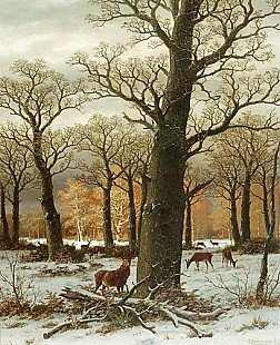 Caesar Bimmermann - Rotwild in einem winterlichen Eichenwald