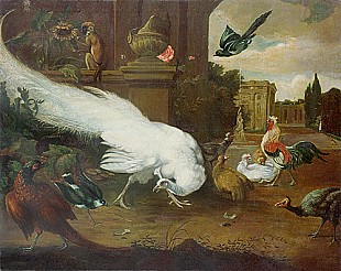 Melchior Hondecoeter - Geflügelhof am Schlosspark 