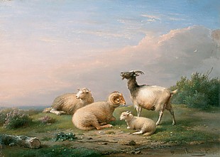 Frans van Severdonck - Schafe und Ziege in weiter Weidelandschaft