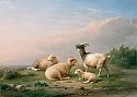 Schafe und Ziege in weiter Weidelandschaft