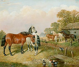 John Frederick Herring D. J. - Pferde und Enten