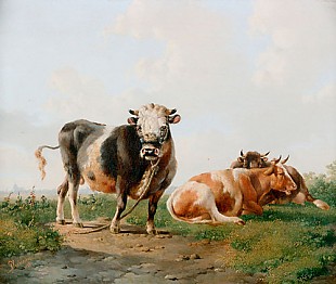 Albertus Verhoesen - Weite holländische Weidelandschaft mit ruhenden Kühen