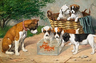 Carl Reichert - Englische Bulldoggen mit Goldfischglas