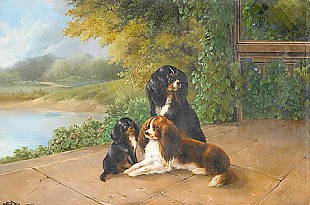 August Knip - Drei Spaniels