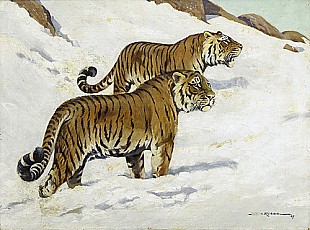 Joachim Fritz von Roebel - Sibirische Tiger im Schnee