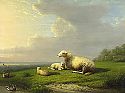 Schafe und Enten am Weiher