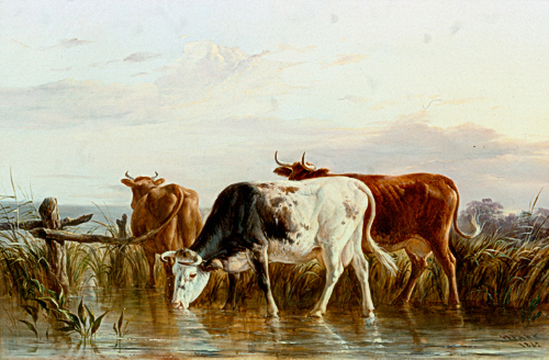 Henry Park - Kühe am verschilften Seeufer 