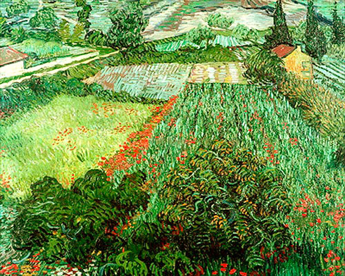 Vincent van Gogh - Mohnblumenfeld