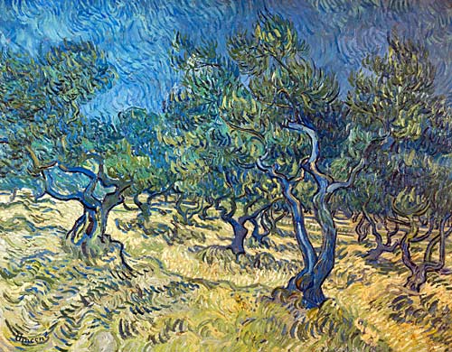 Vincent van Gogh - Olivenbäume (Les Oiliviers)
